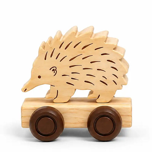 Echidna Name Train Carriage